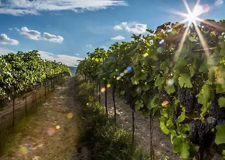 Dobra Lipa ברטיסלאבה