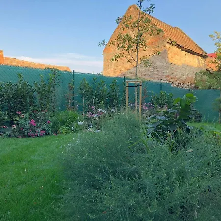 Dobra Lipa דירה *