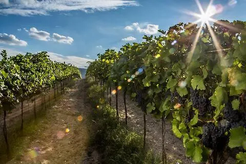 Dobra Lipa Bratislava