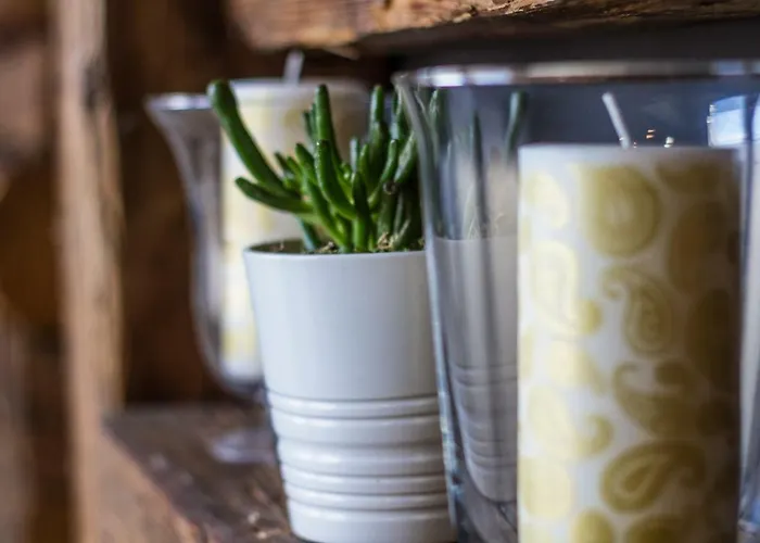 Dobra Lipa Apartament